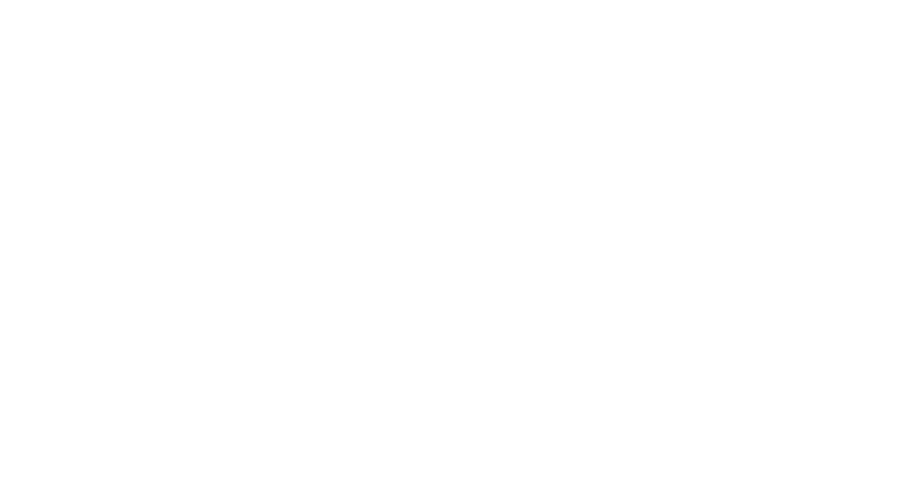 logo porsche blanc